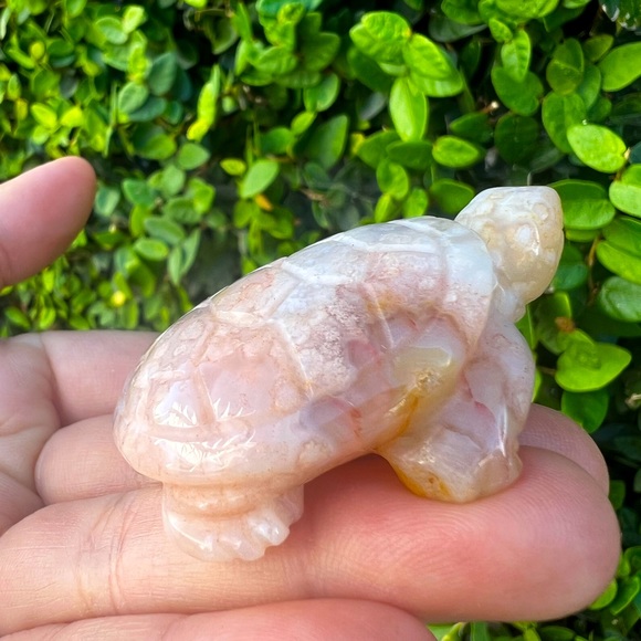 Other - Creamy Orange Pink Flower Agate Turtle Carving